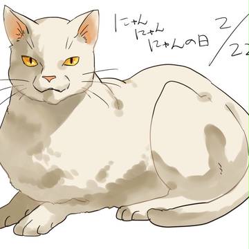 猫の日