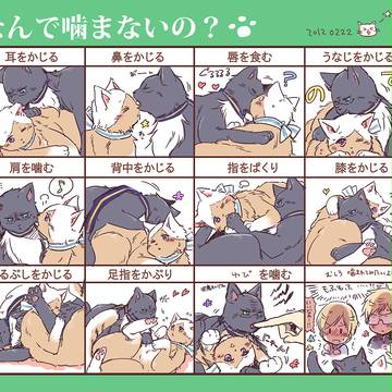 にゃんこで噛み［腐］