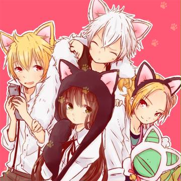 政府でにゃんにゃんみゃあ
