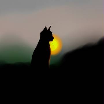 ねこ