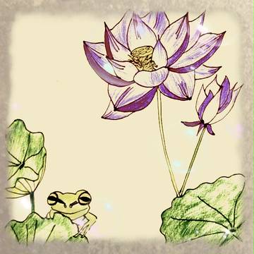 蓮花