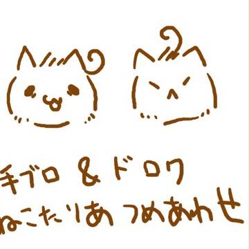 ねこ詰め合わせ