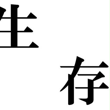 報告