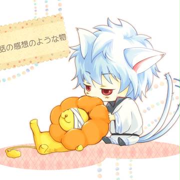 銀猫6　247話観た