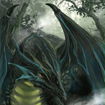 A Practice for dragon