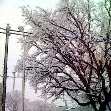 春の雪