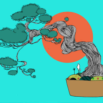 BONSAI
