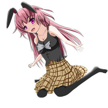 ＊＊＊