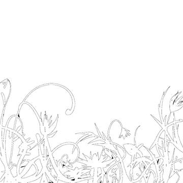 素材フリー 透過済み 草花白いの