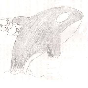 シャチライダー　ウメス