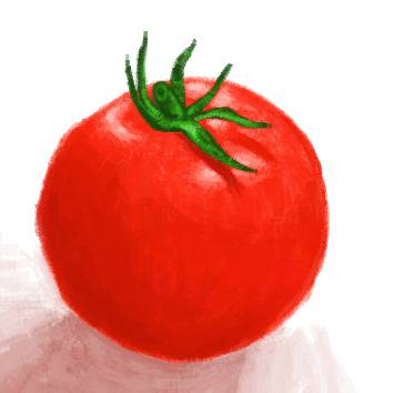 Tomato