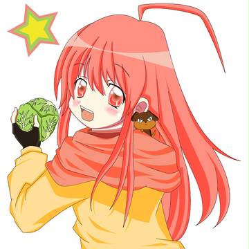 キャベツをつまみ食いするクロ