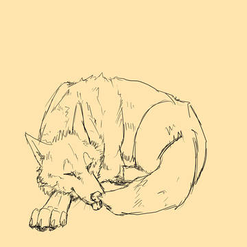 睡眠中