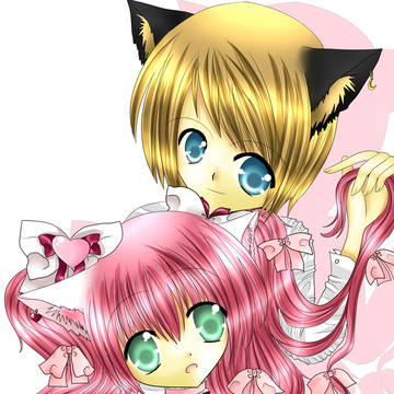 Valentine kitty