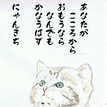 お願い猫