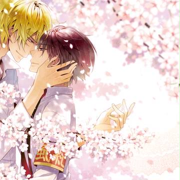 【ディノヒバ】 初恋（小説本） 表紙 【新刊】