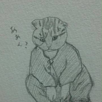 猫野先輩