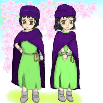 ドラクエ5の主人公と女主人公(性転換)
