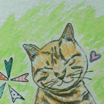 きみがすき