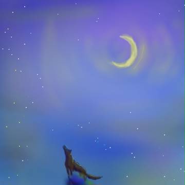月夜の孤狼