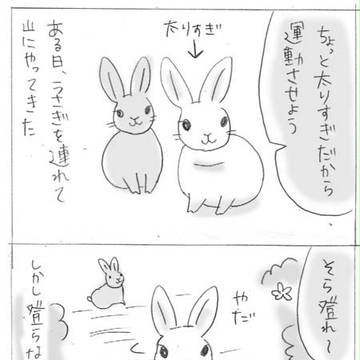 太りすぎかと思った （うさぎ漫画）