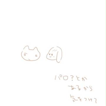 ※