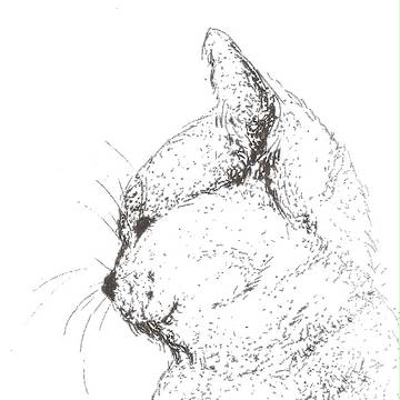 點描