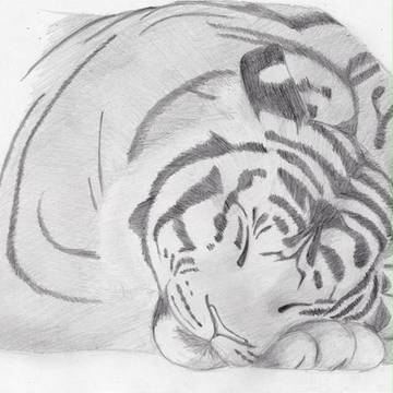 虎模写