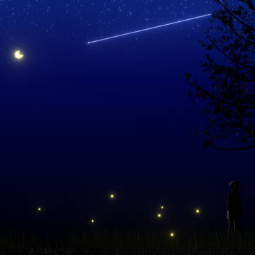 夜