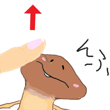 ぶにっ