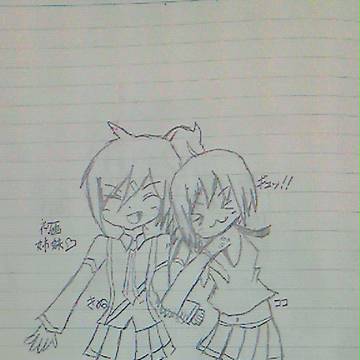 きぬとココ