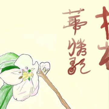 一輪の林檎の花 【歌ってみた】林檎華憐歌【えりにゃん】で使用