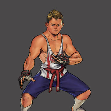 fighter