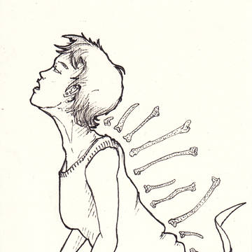Bones