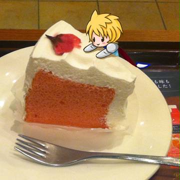 シーフォの日！