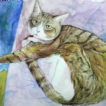 ベル(猫)