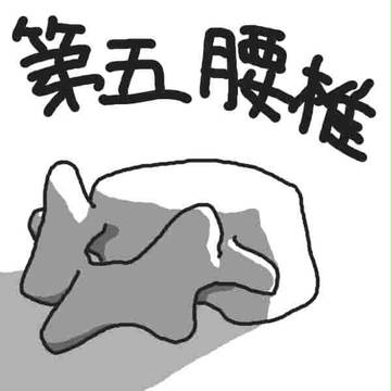 腰椎