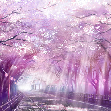 桜並木2012