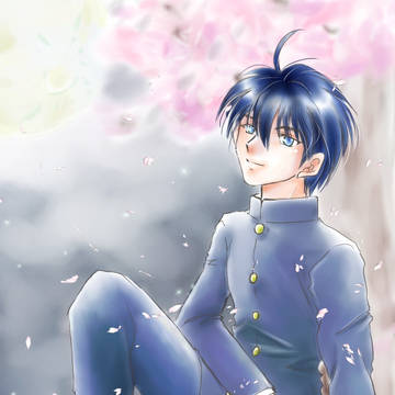 【型月】桜華夜月