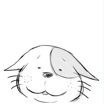 この顔ｗｗ