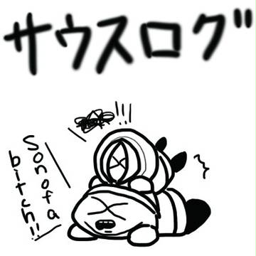 サウスログ