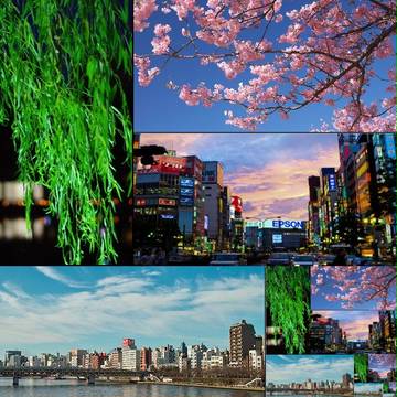 twitterの自分の写真