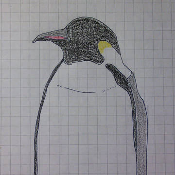ペンギンさん