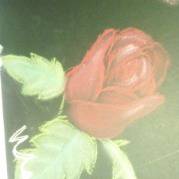 rose
