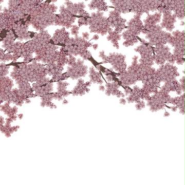 桜ブラシのもと
