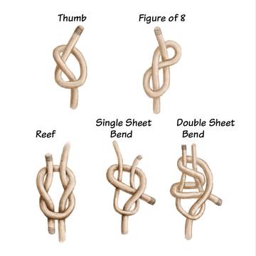 Knots and Hitches