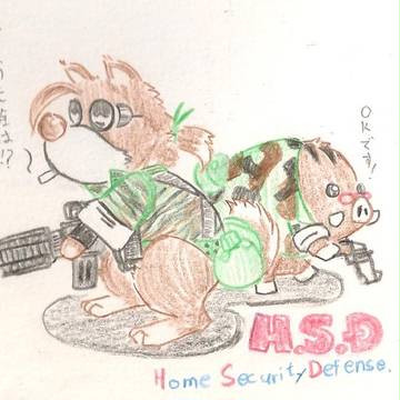 H.S.D