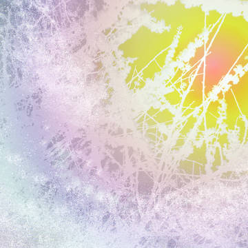 【木】フリー素材