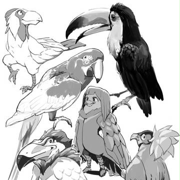 鳥