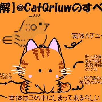 【図解】CatQriuwのすべて